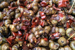 吃田螺视频,视频带你领略田螺的独特风味